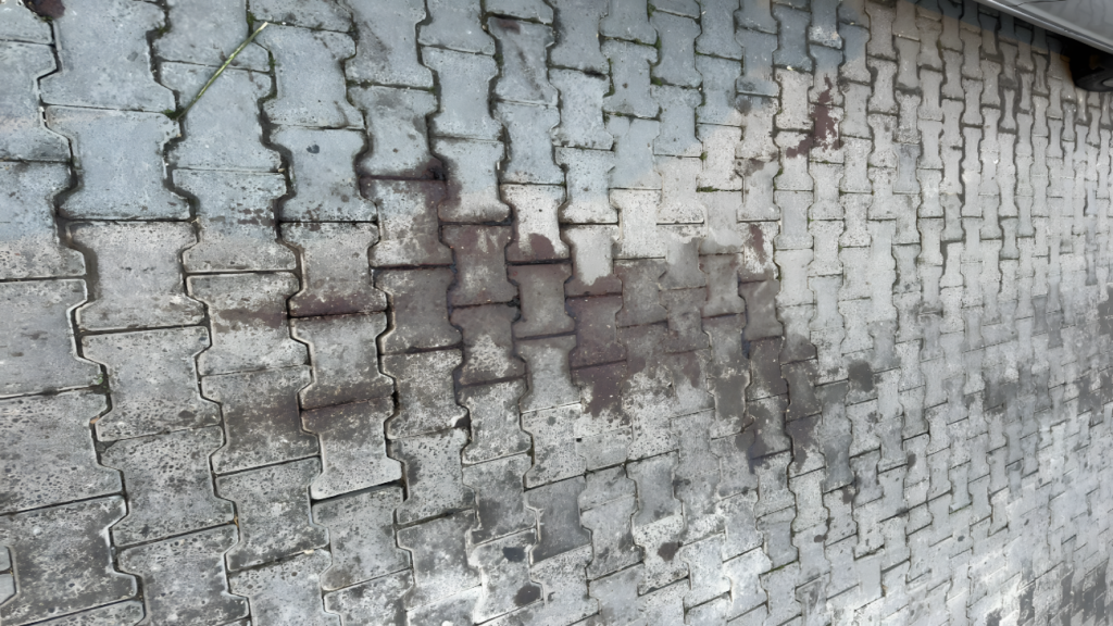 صورة من محتوى التدوينة